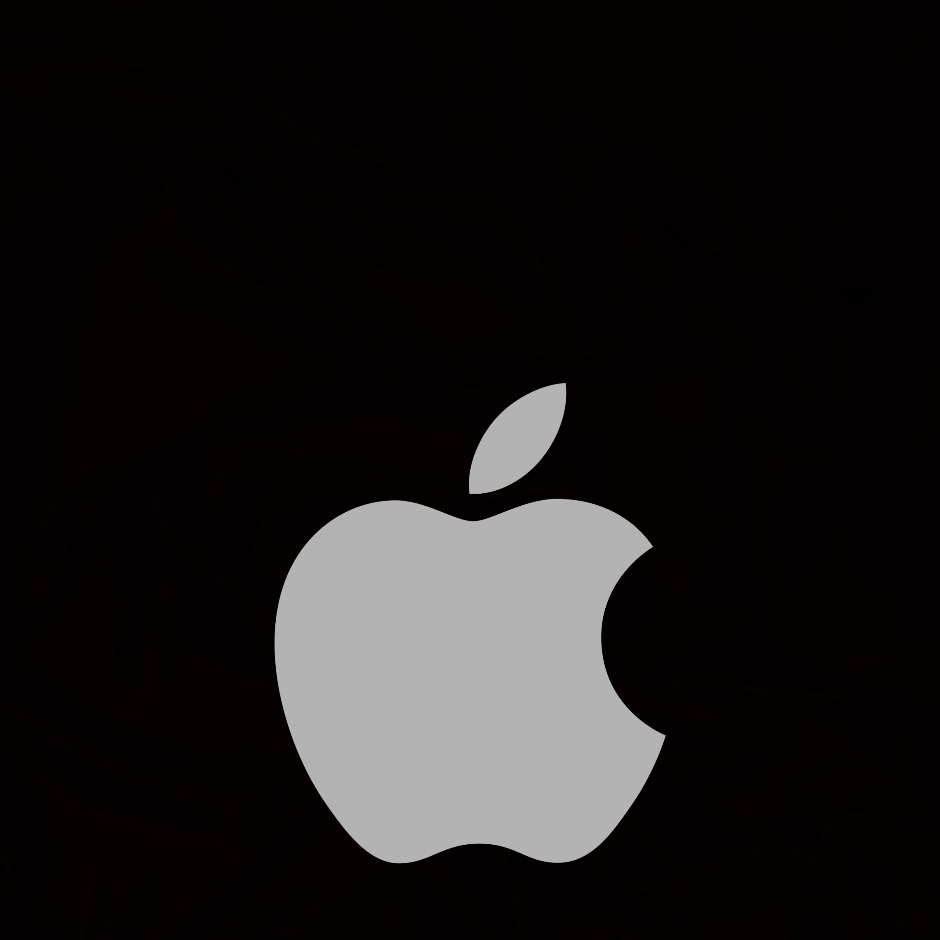 Apple dona la sorpresa i posa a la venda dos nous iPad