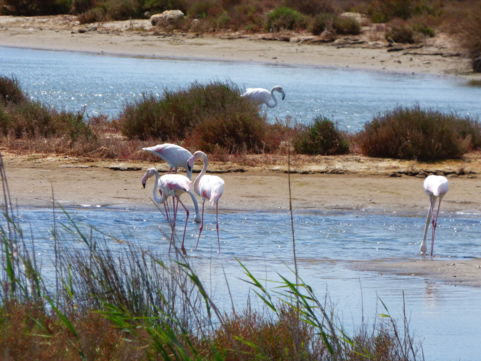 Frente común en las Terres de l'Ebre contra la interconexión de redes Tarragona-Barcelona