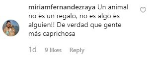 comentaris macarena gomez 1
