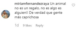 comentarios macarena gomez 1