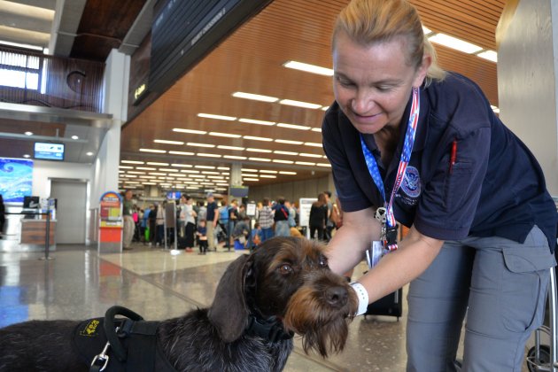 perro aeropuerto Air Force Reserve Command