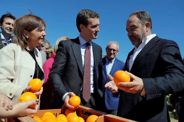 isabel bonig pablo casado taronja efe