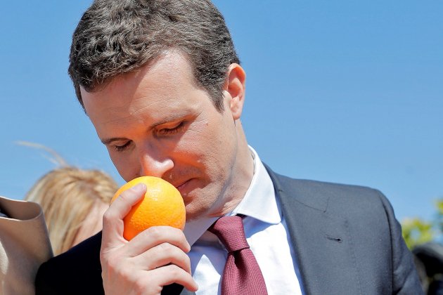 pablo casado oliendo naranja EFE