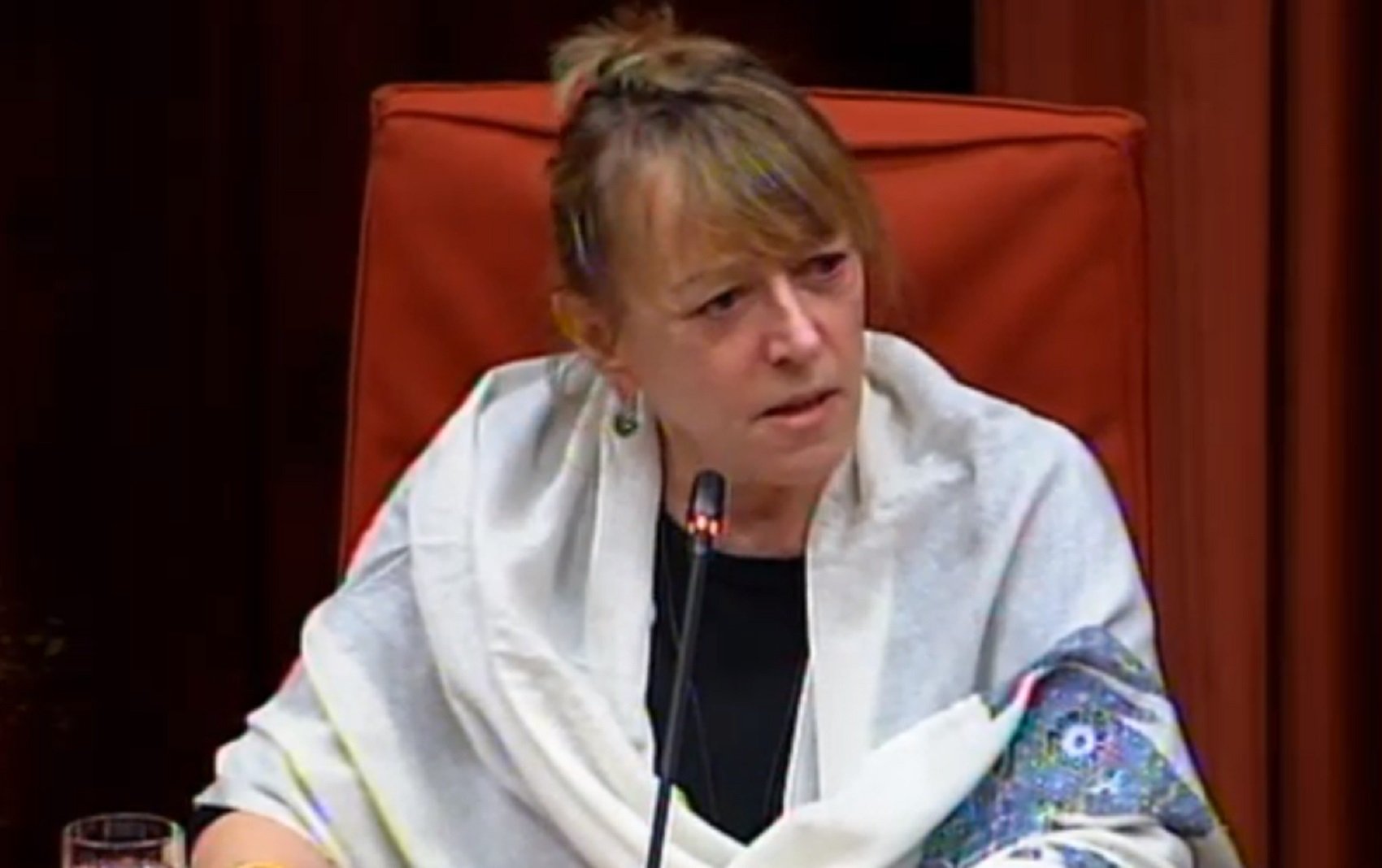 La Nobel Williams denuncia en el Parlament que en España se veta la libertad de expresión