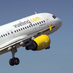 Com ha de ser l'equipatge de mà que Vueling demana?