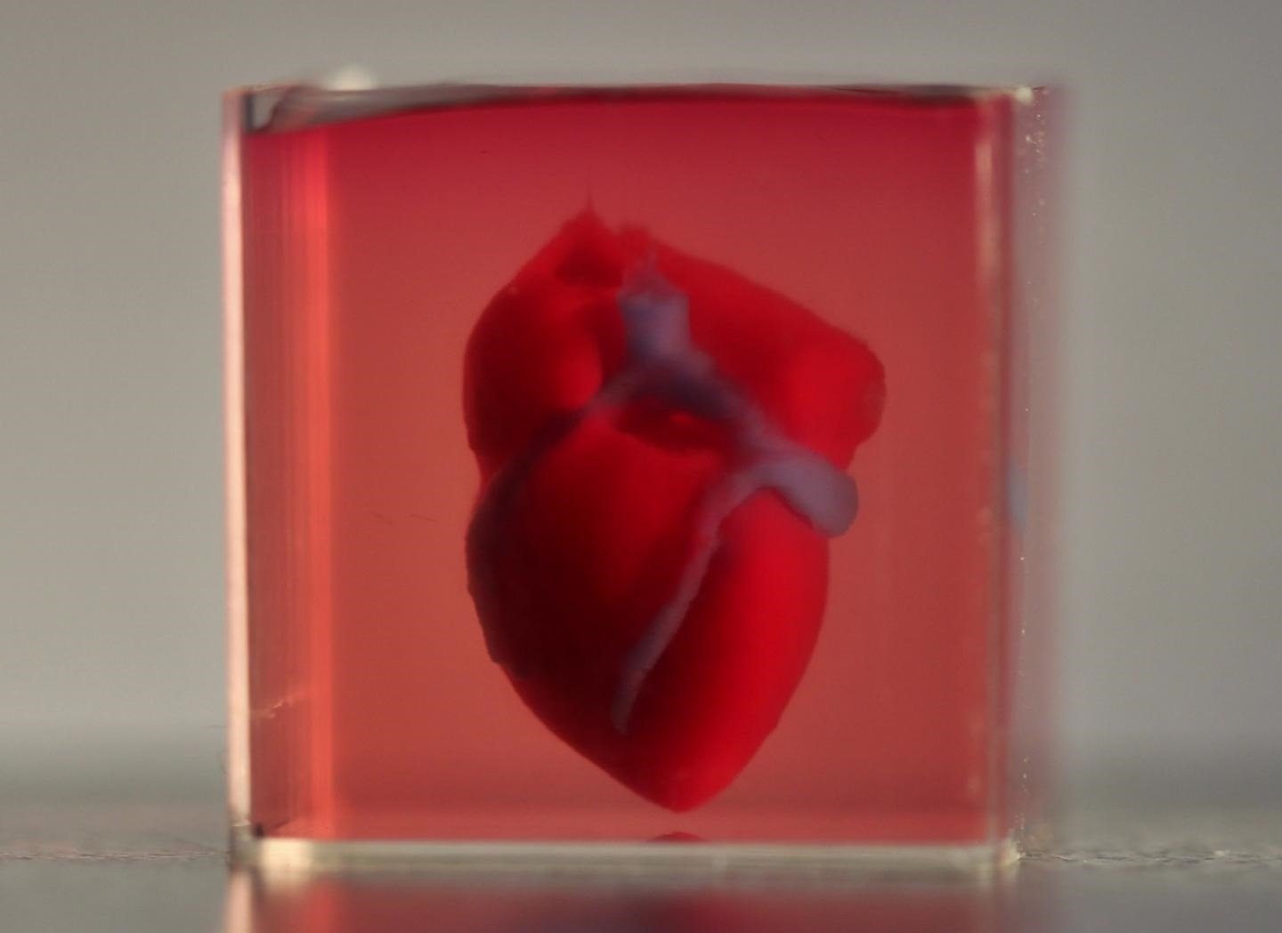 Vídeo | Científicos imprimen en 3D el primer corazón con tejido humano
