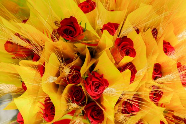 Roses Sant Jordi Roses Sant Jordi
