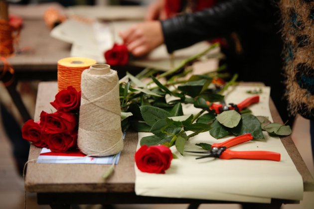 Roses Sant Jordi 2019 Sergi Alcàzar