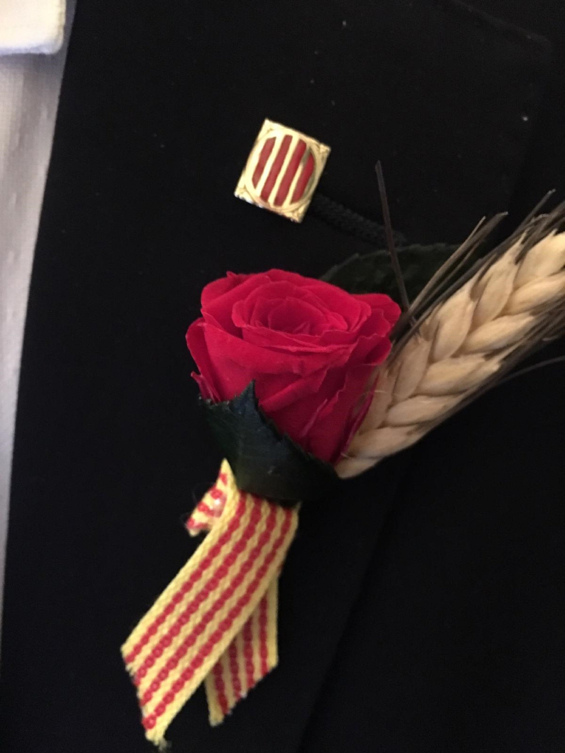 El pin de Sant Jordi que llevan los presos en el Supremo El pin de Sant Jordi que llevan los presos en el Supremo
