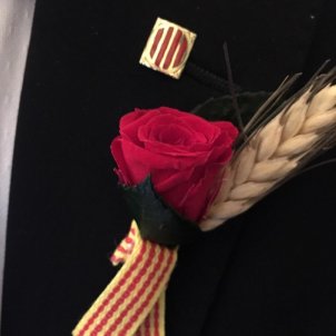 pin Sant Jordi presos pin Sant Jordi presos