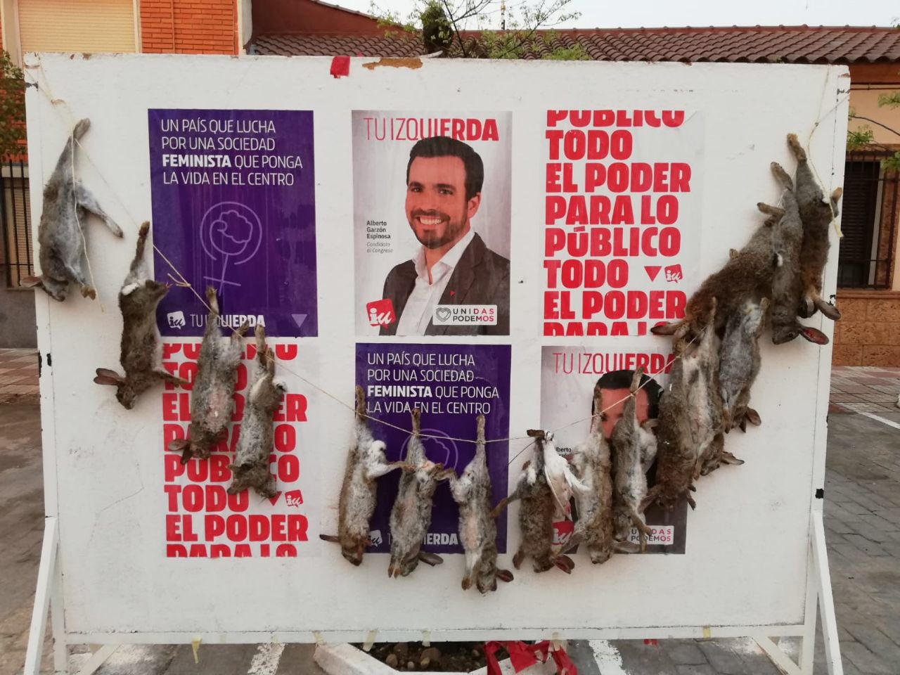 Cuelgan 16 conejos muertos en carteles de campaña de Unidas Podemos