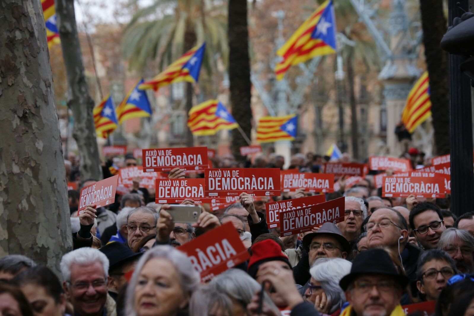 L’esquerra alemanya dona suport al referèndum de Catalunya
