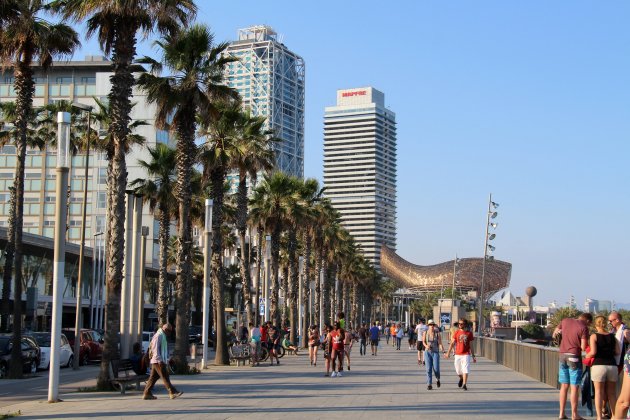 Passeig marítim de Barcelona. Foto: Flickr