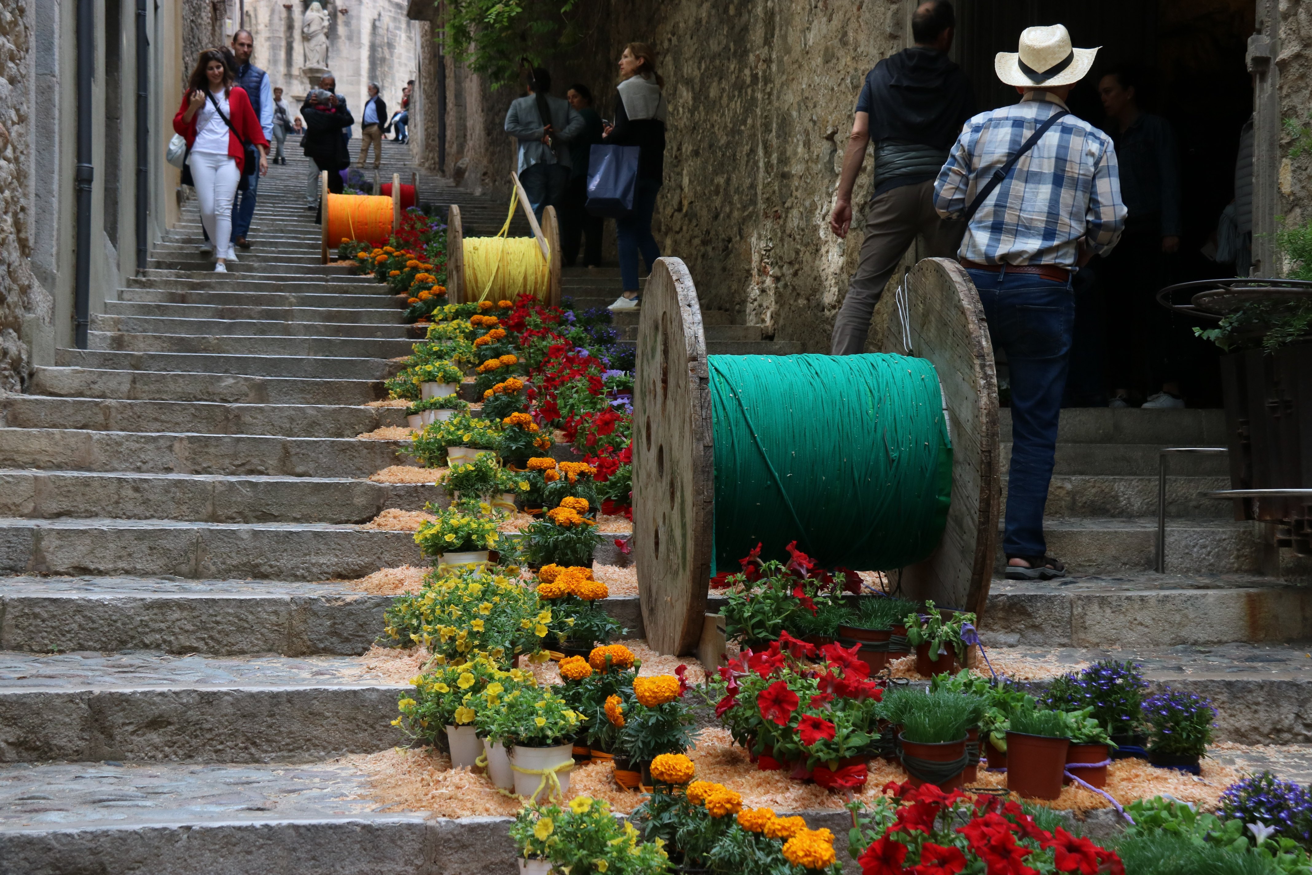 Milers de flors i visitants omplen Girona en la 64a edició de Temps de Flors