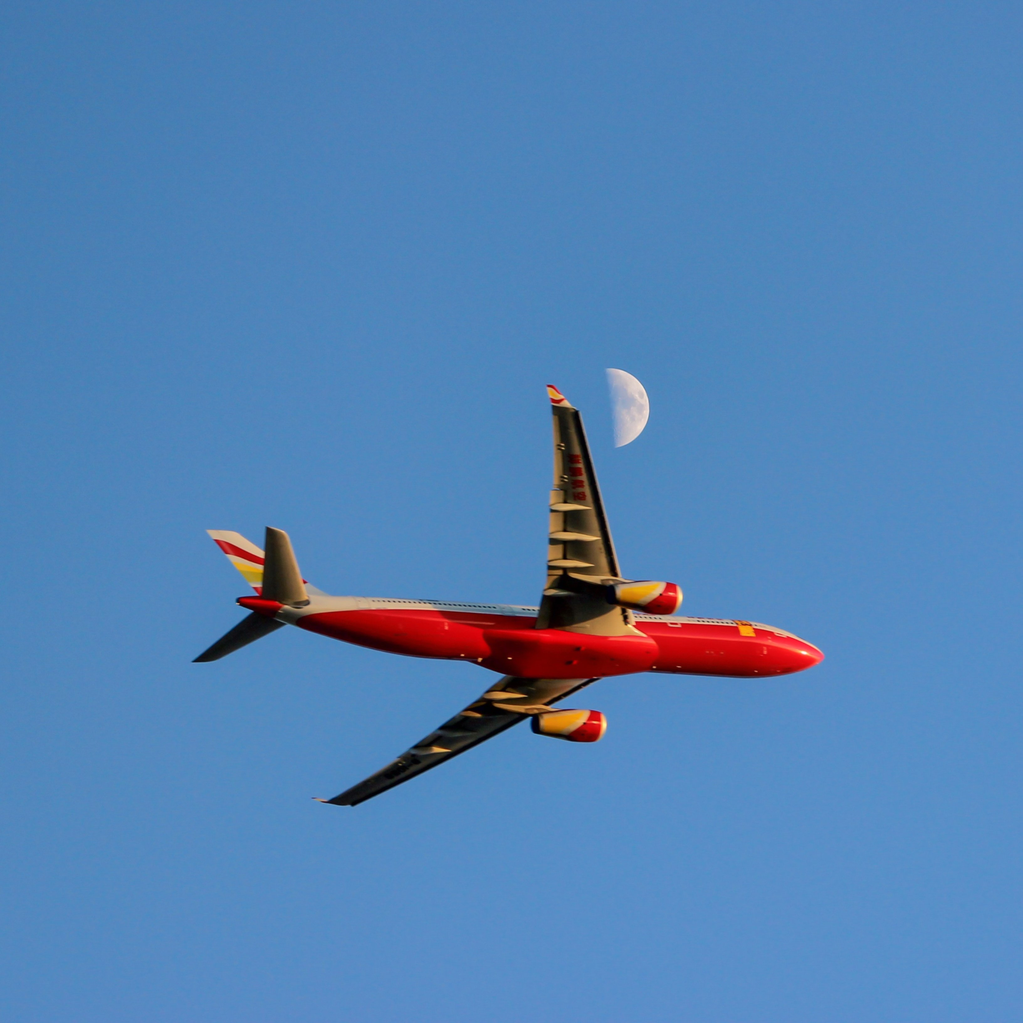 Viajar en avión puede ser barato si sabes dónde buscar en internet