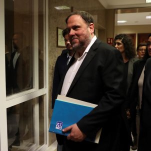 Oriol Junqueras Congrés dels Diputats EFE Oriol Junqueras Congrés dels Diputats EFE