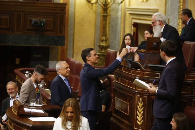 Pedro Sanchez votación constitución Congreso - ACN