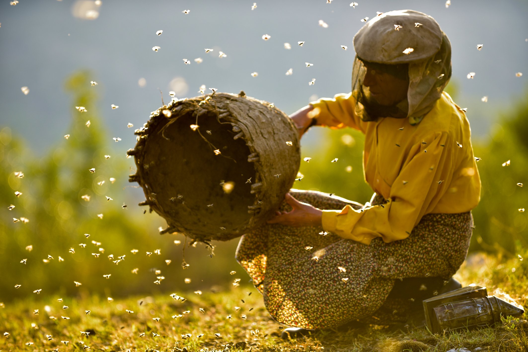 'Honeyland' y 'Me llamo Violeta' triunfan en el DocsBarcelona