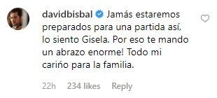 david bisbal