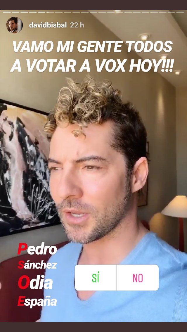 bisbal vox imatge falsa