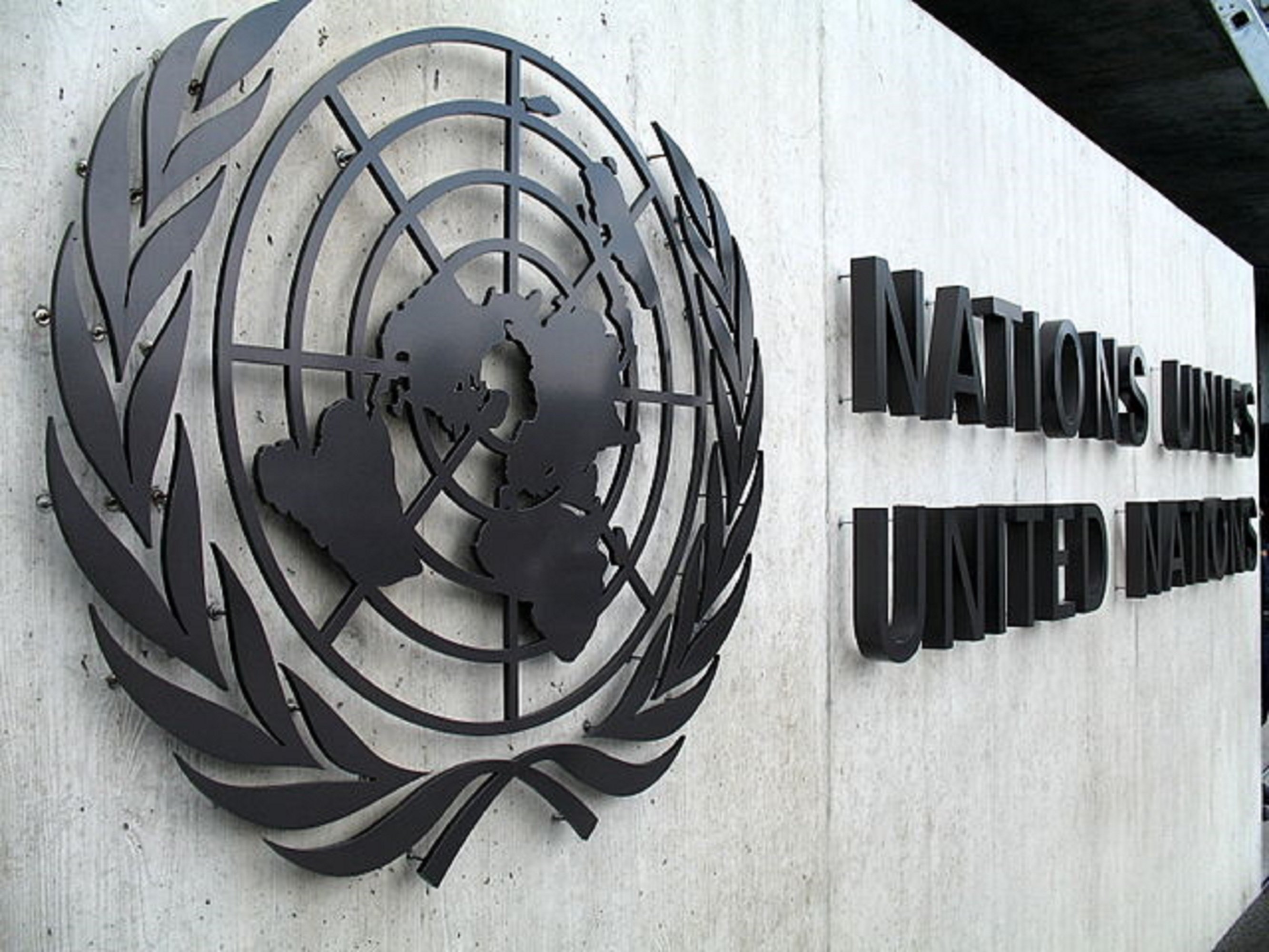 La 'gota malaya' del independentismo en la ONU: así se libra la batalla jurídica en Ginebra