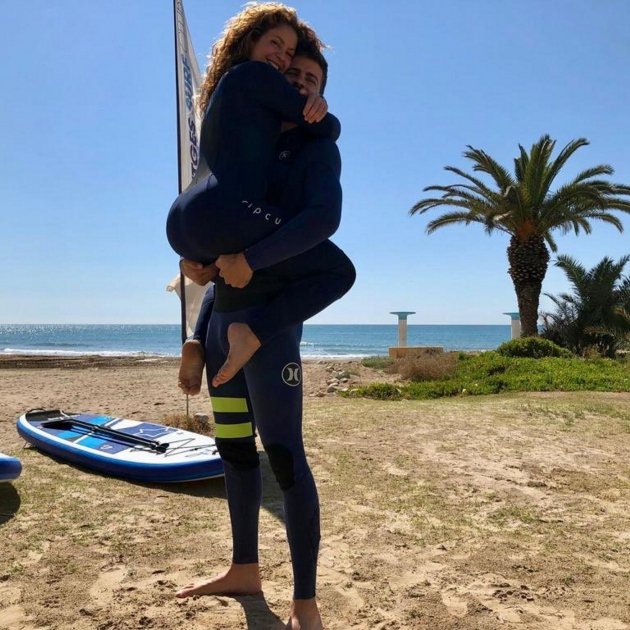 Pique shakira koala árbol @3gerardpique