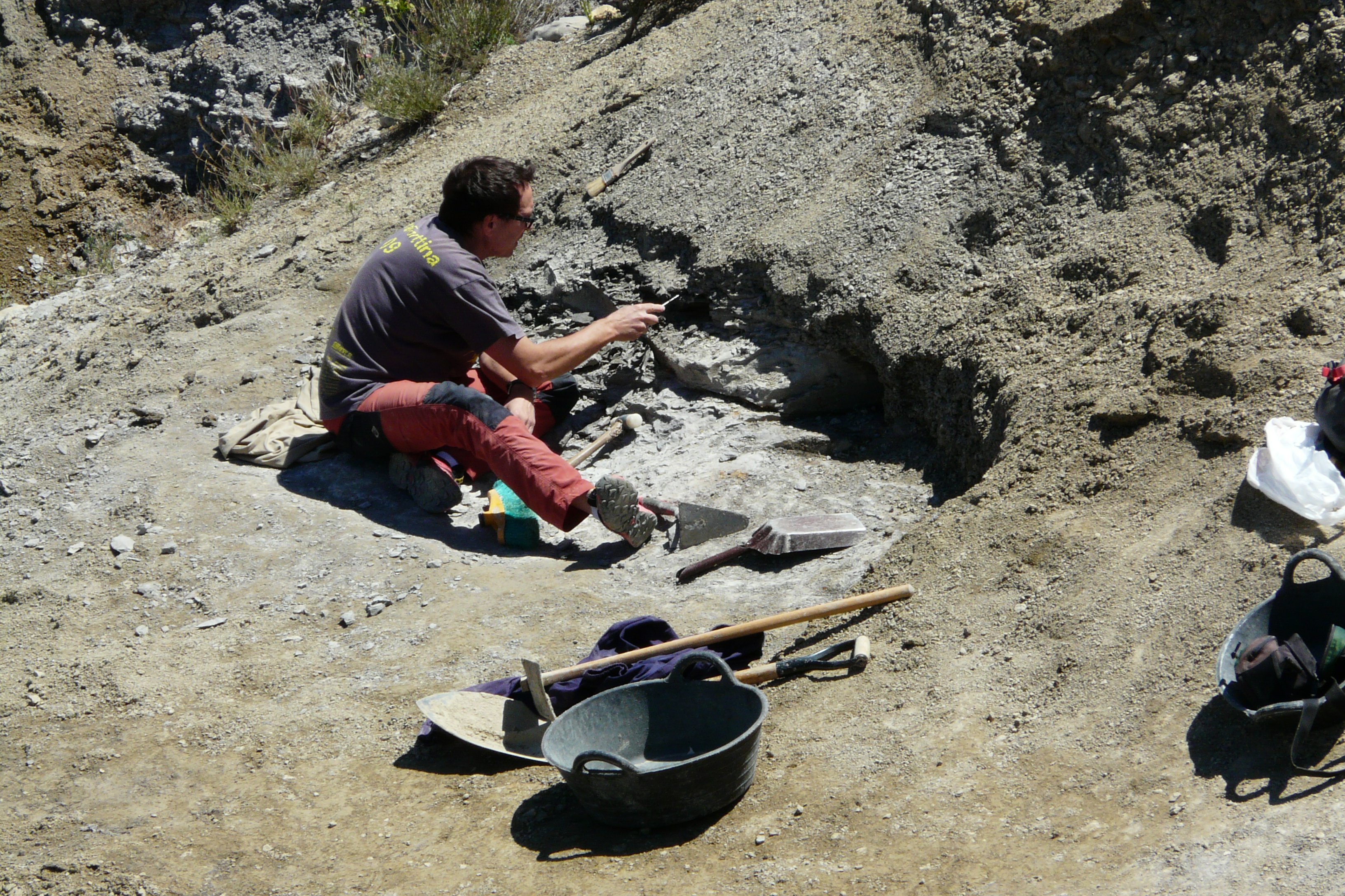 Descubren el yacimiento de dinosaurios más moderno de Europa en el Pallars Jussà