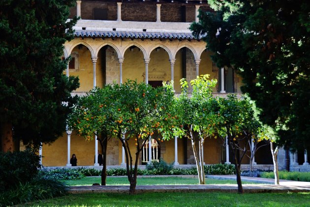 WLM14ES Claustro Real Monasterio de Pedralbes, Les Corts, Barcelona MARIA ROSA FERRE (9) wikipedia