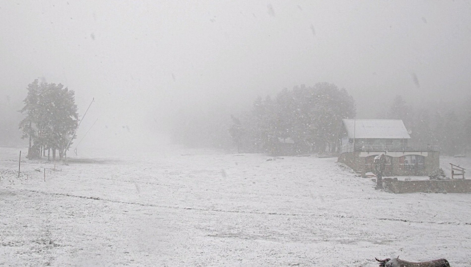 VÍDEO | Nevades en cotes altes del Pirineu