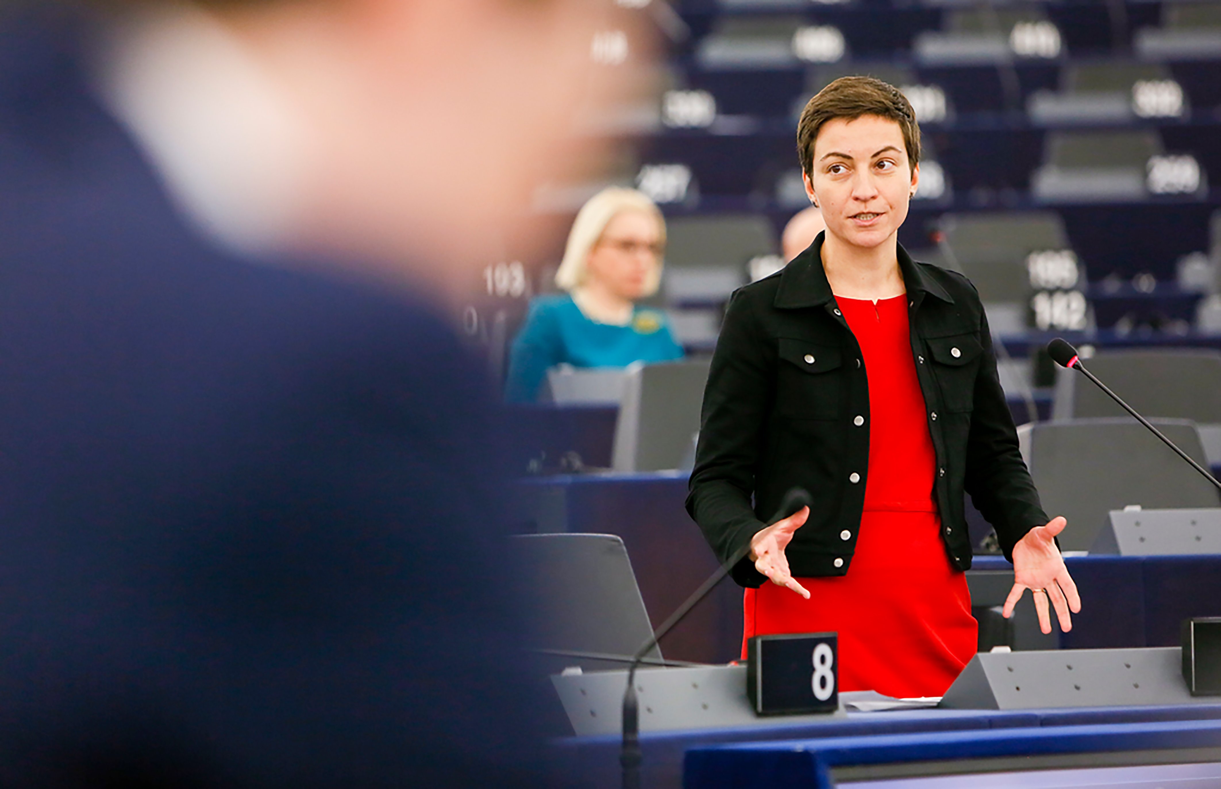 Els Verds justifiquen el no a Puigdemont i Comín a diferències sobre Catalunya