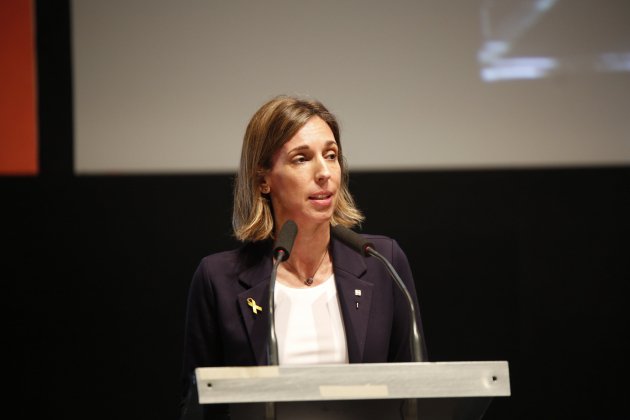 Àngels Chacon Consellera Ple constitucio Cambra - Sergi Alcàzar