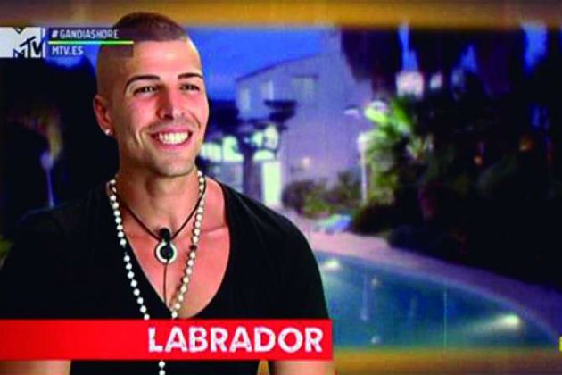 labrador gandia shore