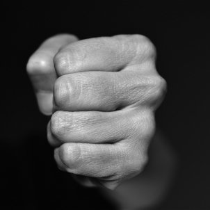 puny pixabay puny pixabay