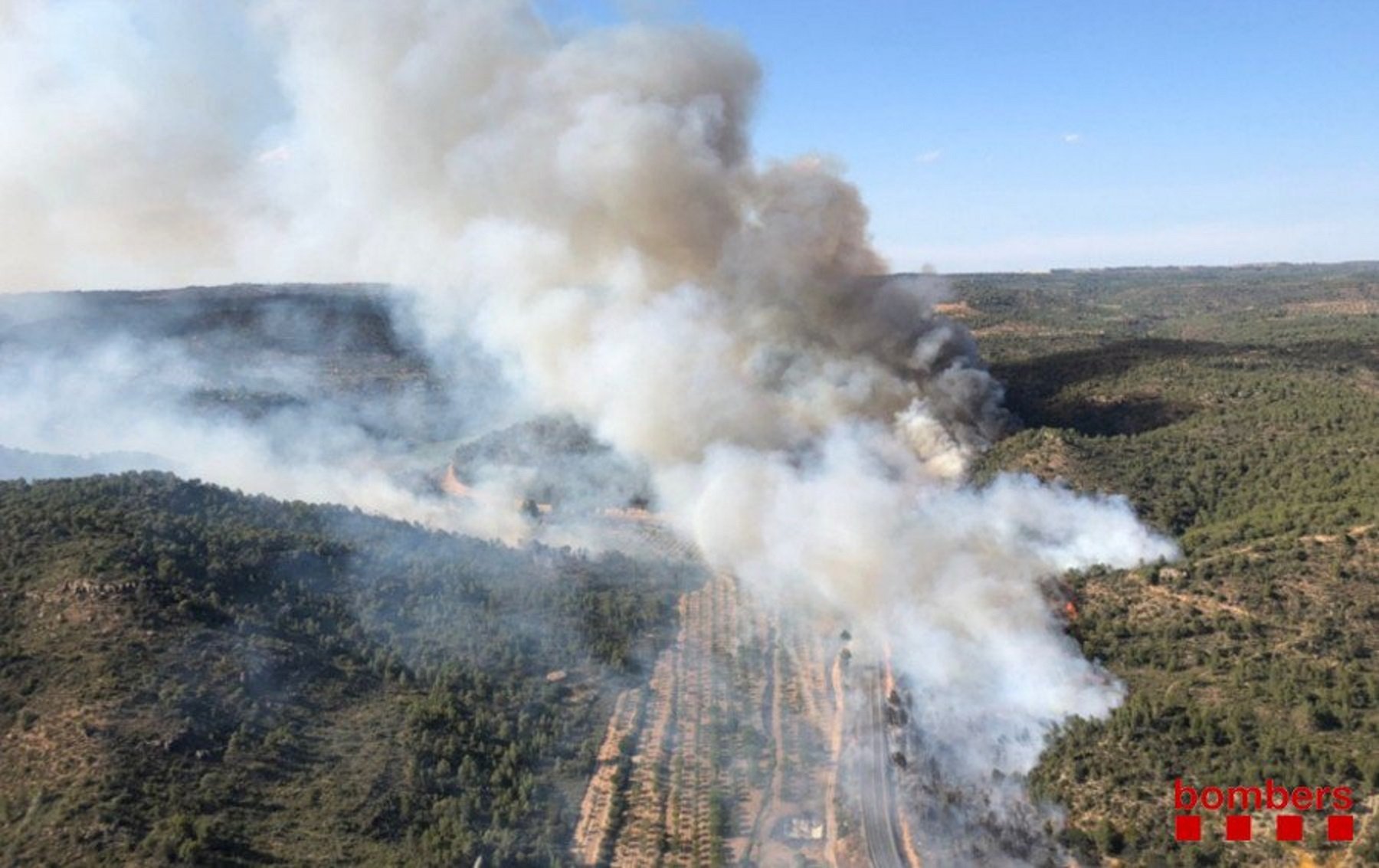 Un incendi a Maials (Segrià) crema unes 30 hectàrees