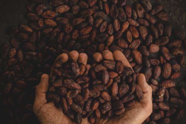 cacao -  unsplash