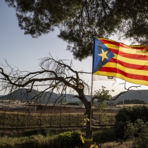 Concentracio Lledoners Presos Politics estelada - Sergi Alcàzar Concentracio Lledoners Presos Politics estelada - Sergi Alcàzar
