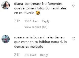 Shakira dofi comentari @shakira