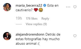 Shakira dofi comentario 5 @shakira