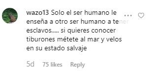 Pique tiburones comentari 0 @3gerardpique