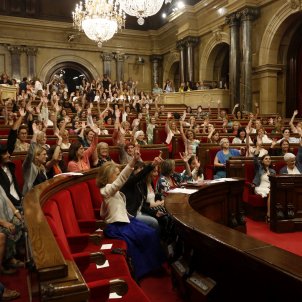 votacio declaracio ple dones parlament acn votacio declaracio ple dones parlament acn