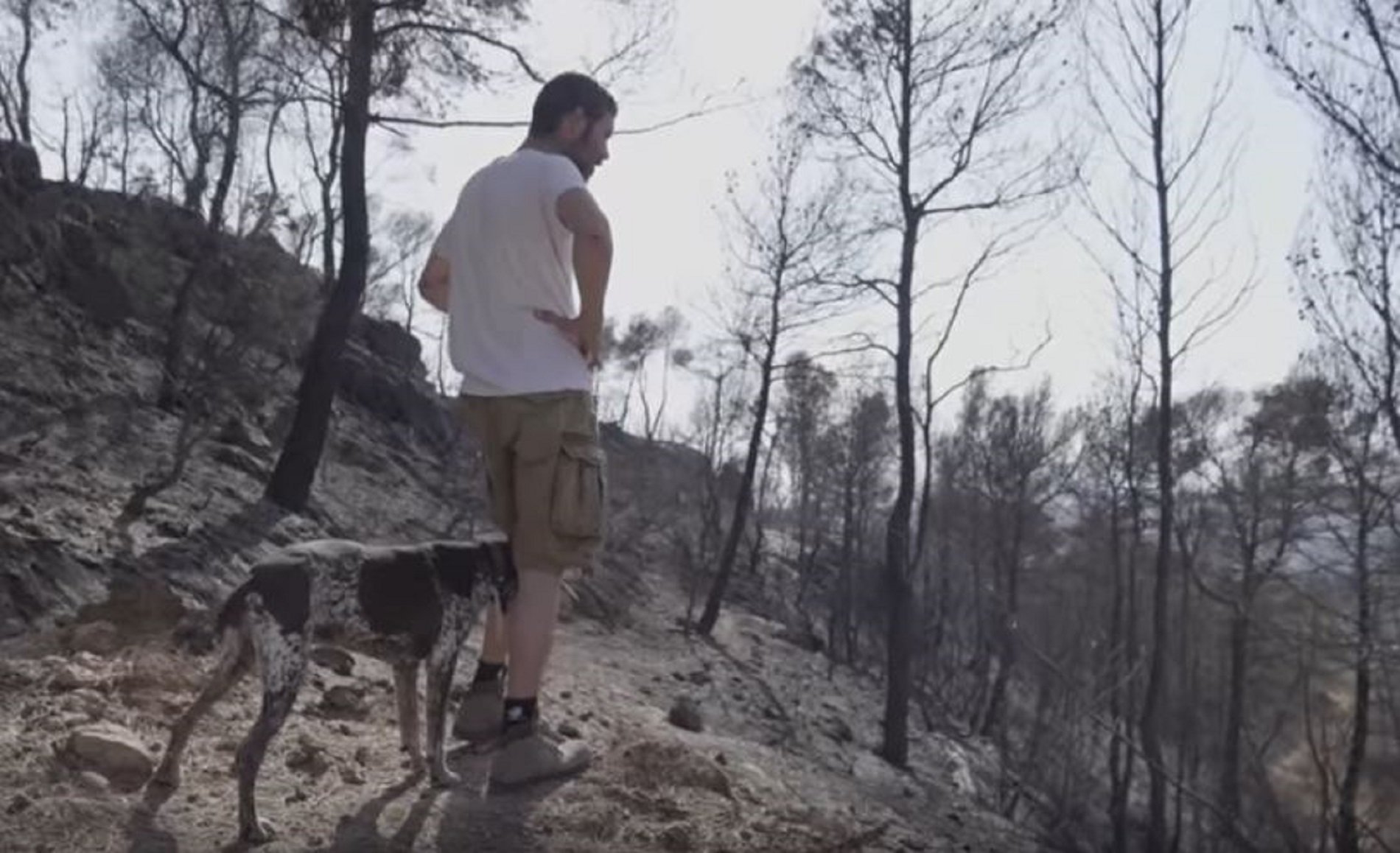 Rebrotem engega una acció solidària per ajudar els afectats pels incendis