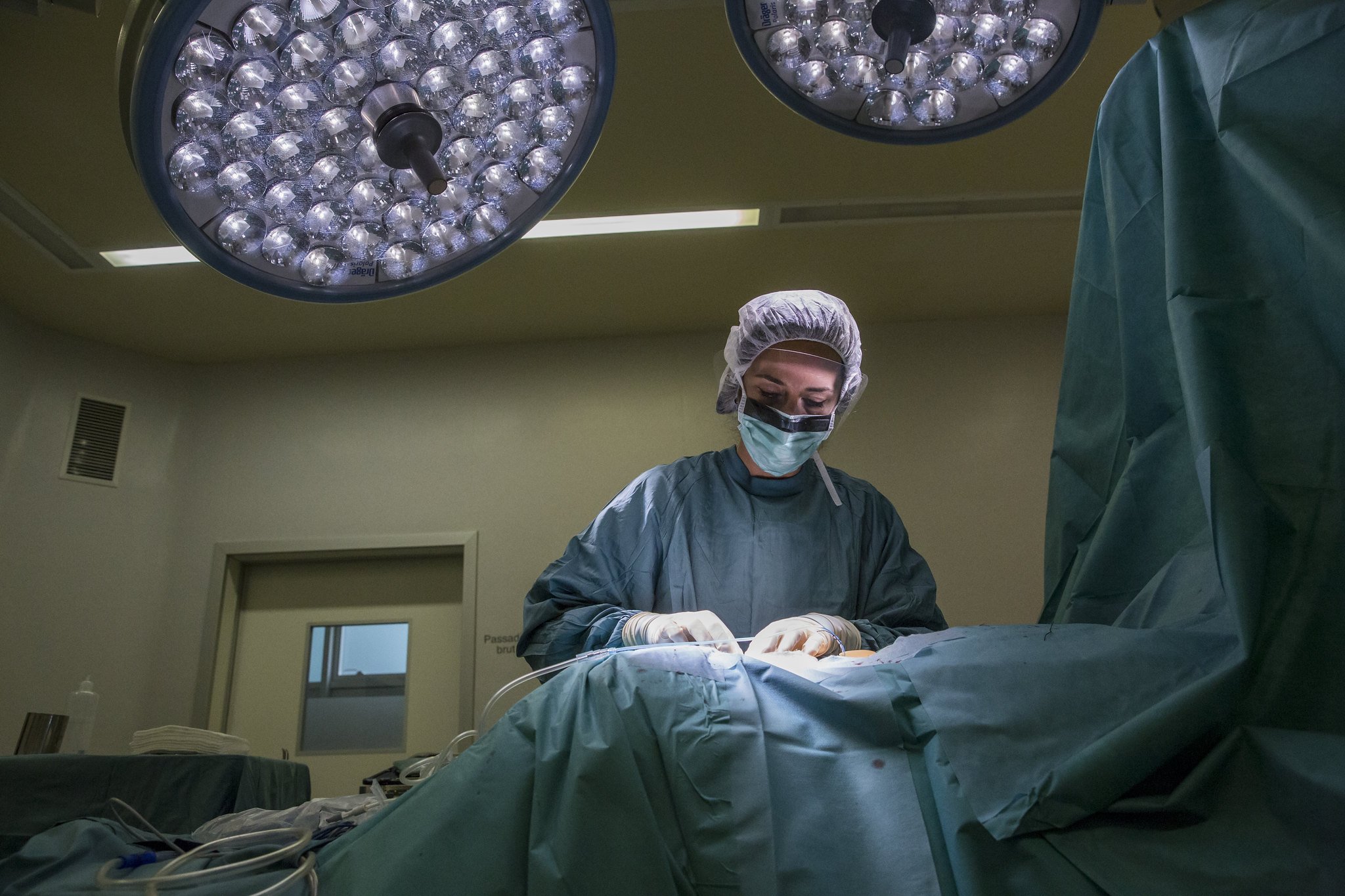 Catalunya registra más de tres trasplantes de órganos diarios