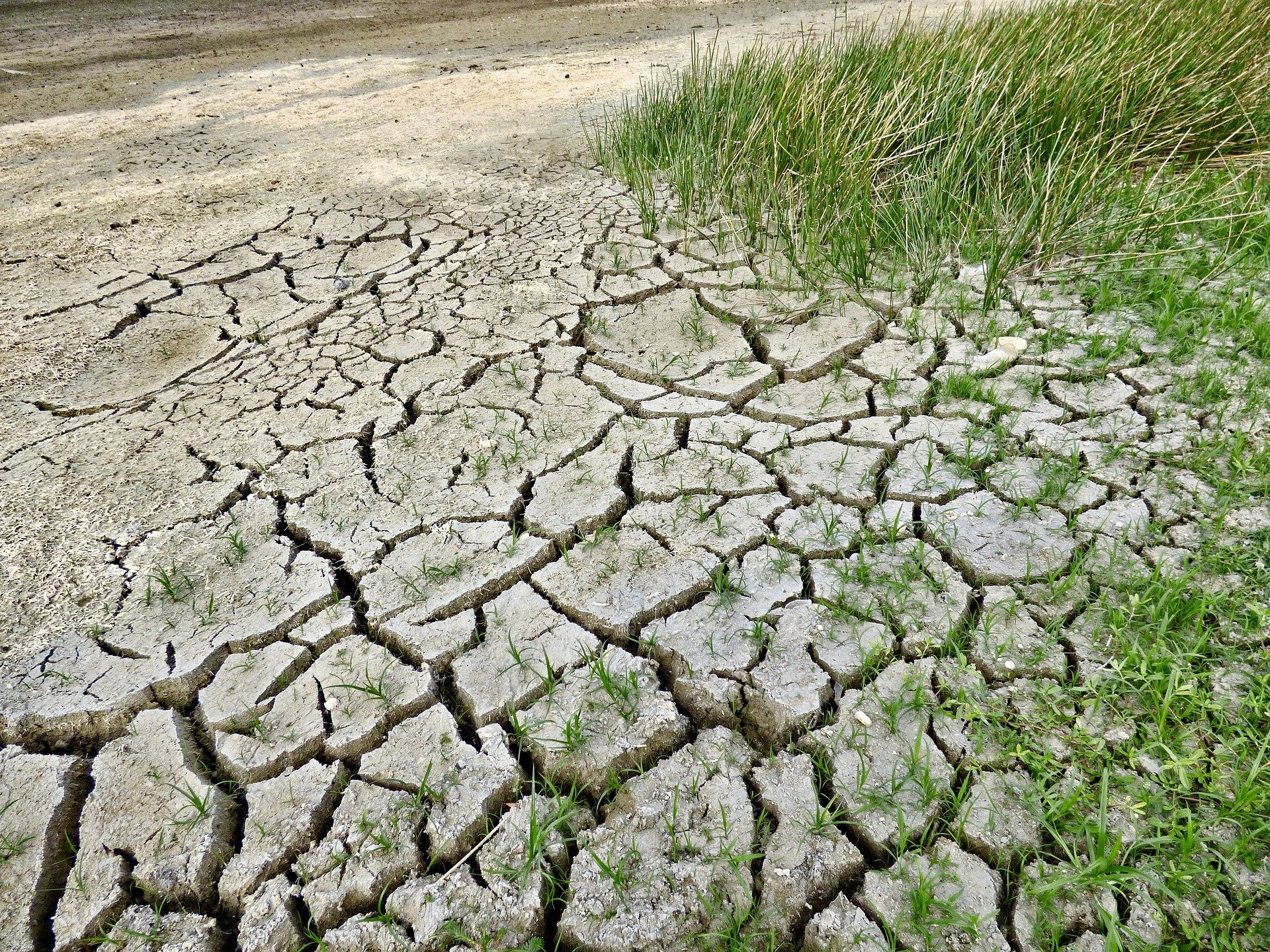 El Govern manté els objectius de reducció de carboni per al 2021 "malgrat" la sentència del TC