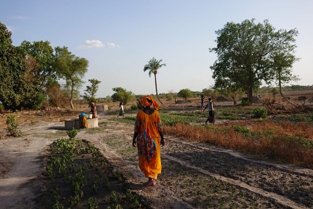 Visita en una cooperativa de mujeres agriculturas en Kolda (Casamance, Senegal)