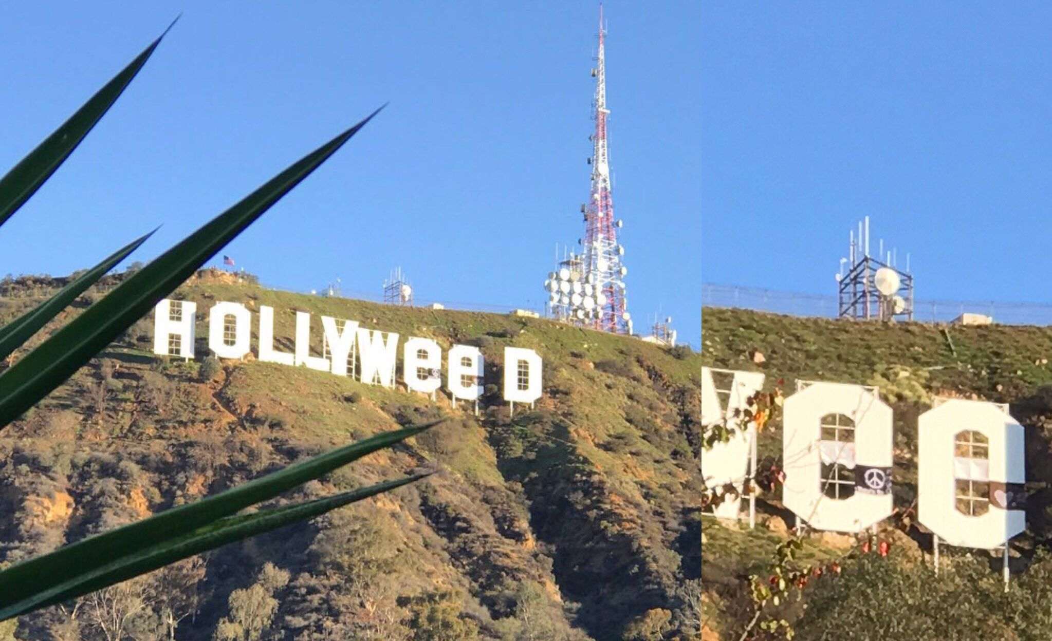 El cartel de Hollywood ahora es "Hollyweed" (bendita Marihuana)