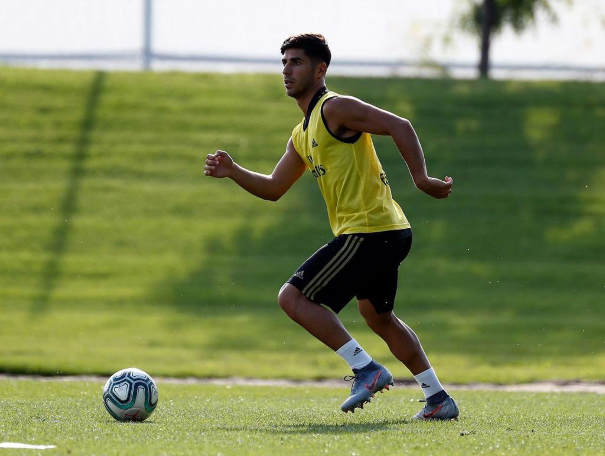 Asensio se rompe los ligamientos de la rodilla y se perderá gran parte de la temporada