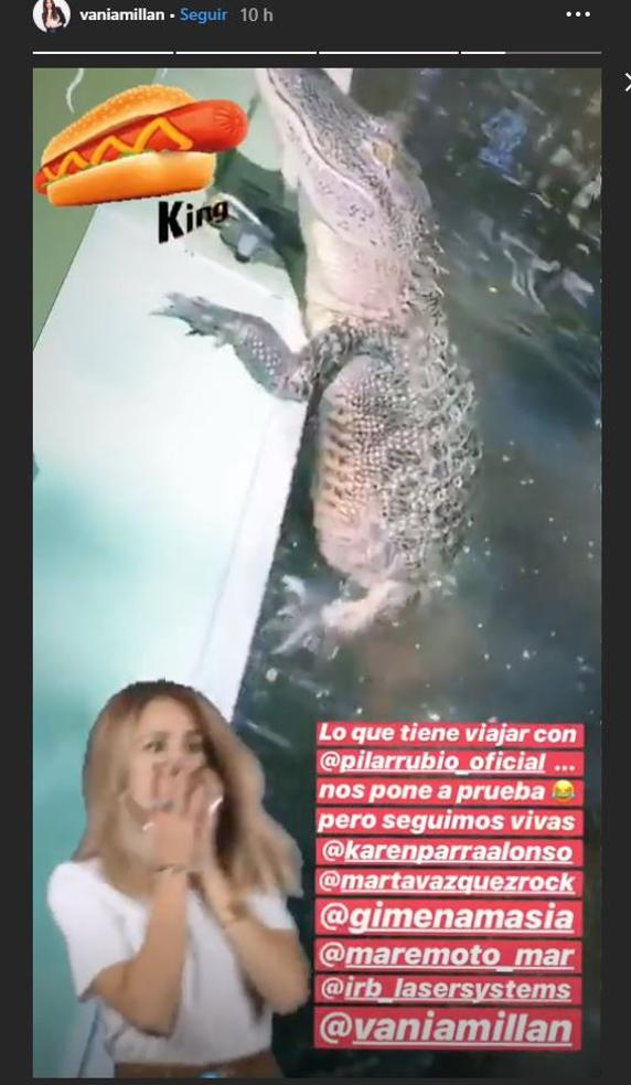 cocodril pilar rubio