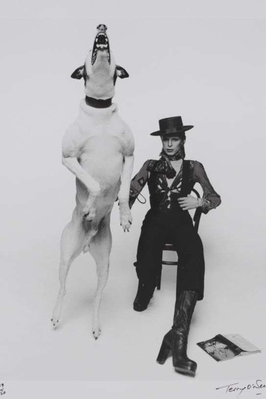 13. Promotional photograph of David Bowie for 'Diamond Dogos', 1974
