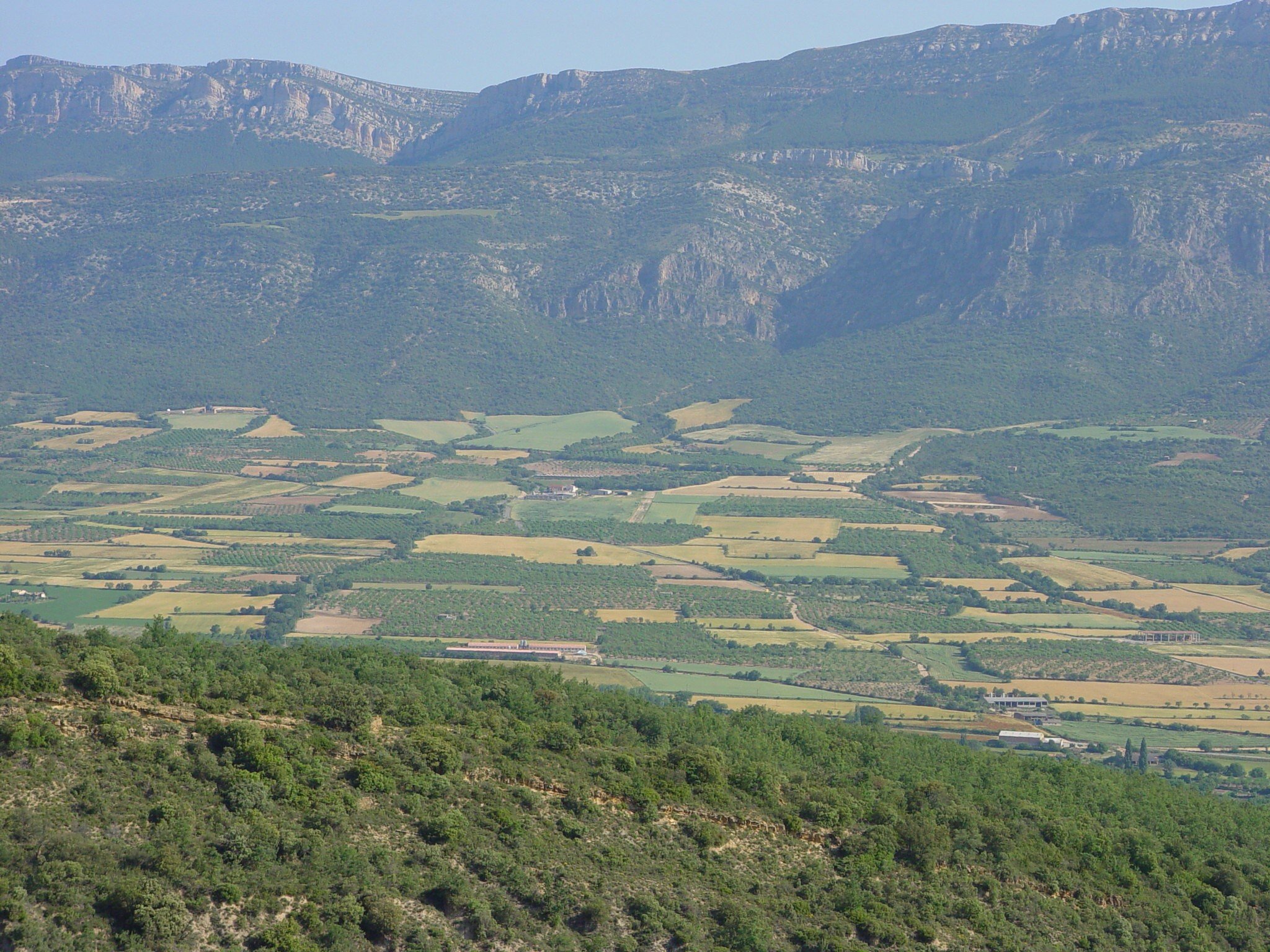 Los paisajes agrícolas con parcelas pequeñas y variadas fomentan la biodiversidad