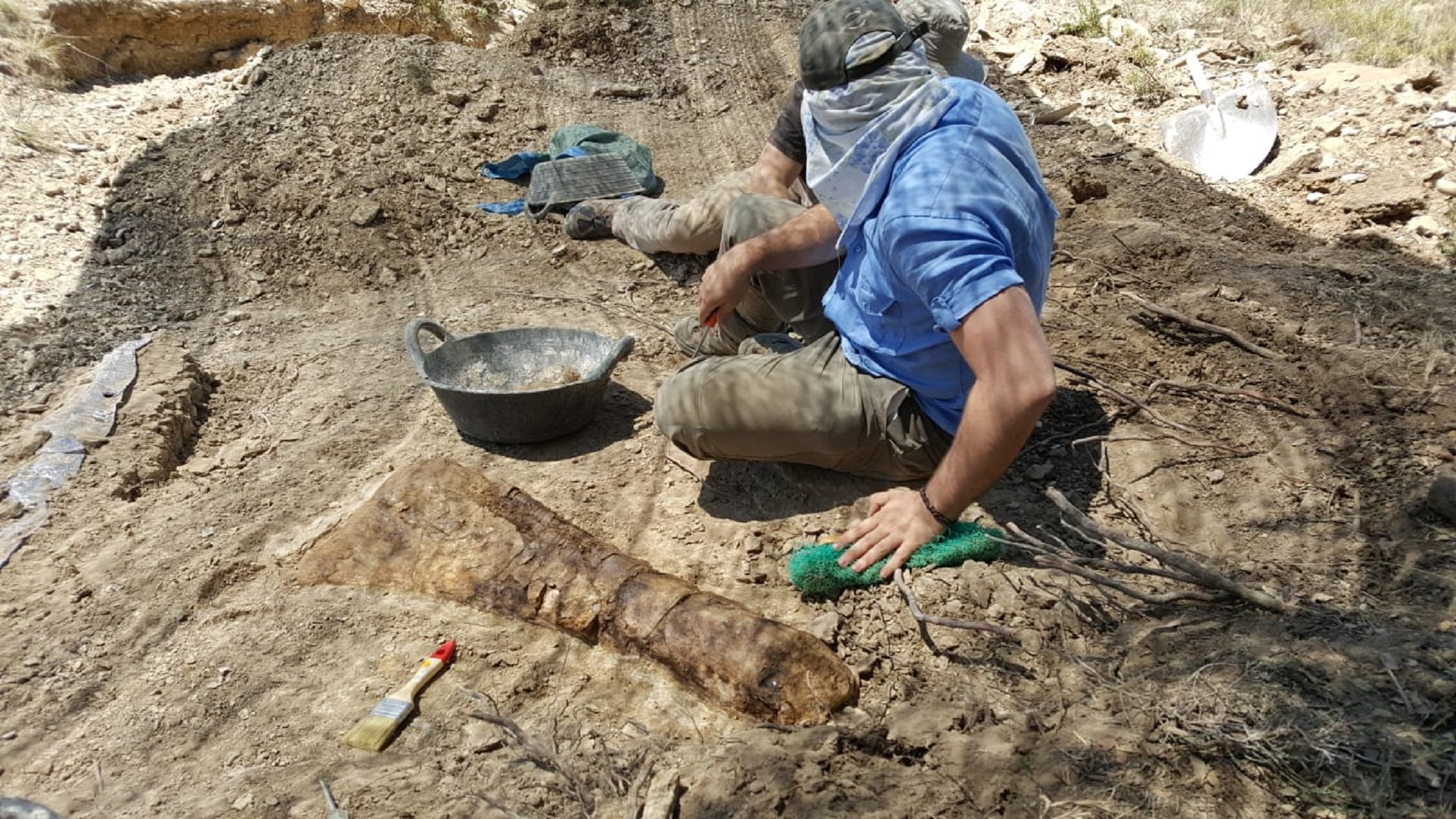 Encuentran una costilla cervical de dinosaurio en el Pallars Jussà